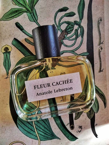 FLEUR CACHÉE