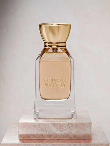 FLEUR DE SOCOTRA