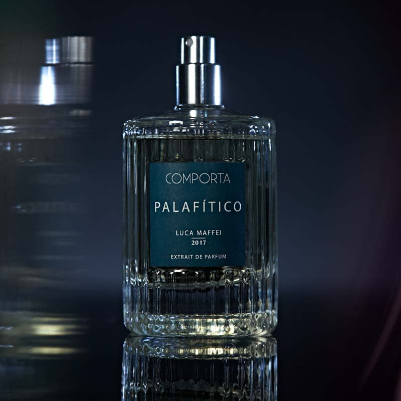 PALAFITICO